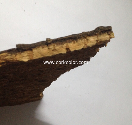 Randomly size nature cork bark tiles,for animals enclosure wall,ceiling decoration