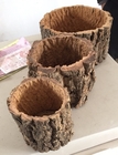 Nature Round Cork Bark Planter for  for Gardening, Orchids, or Succulents