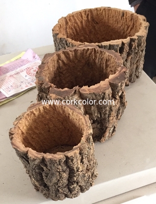 Nature Round Cork Bark Planter for  for Gardening, Orchids, or Succulents