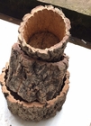 Environmental Round Cork Bark Planter for Indoor or Outdoor Gardening
